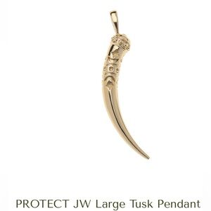 Jane Win PROTECT Tusk Pendant
Sterling Silver plated in 14k Gold
2" length